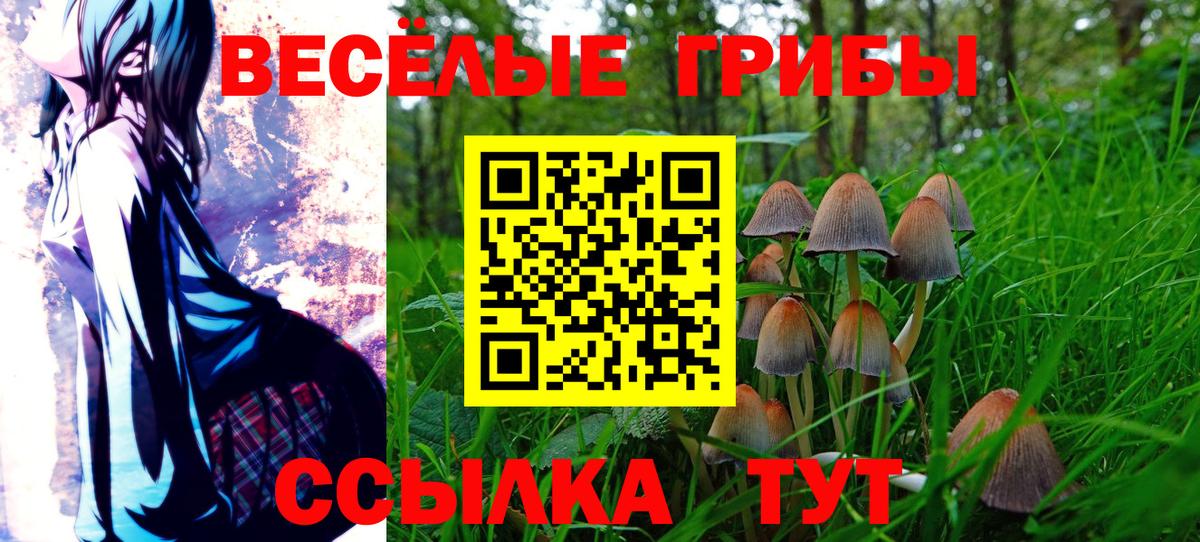 Псилоцибиновые грибы Magic Shrooms Назрань