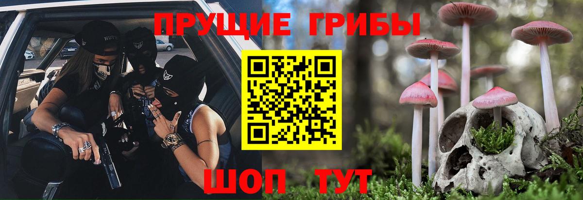 Назрань  Псилоцибиновые грибы GOLDEN TEACHER  Вход с VPN 